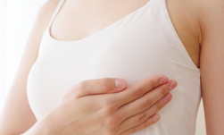 乳腺内科・外科